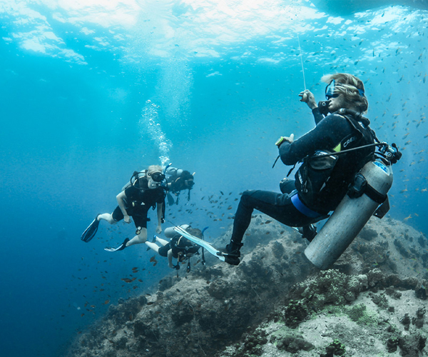 Dive Master Course (no dives included) 