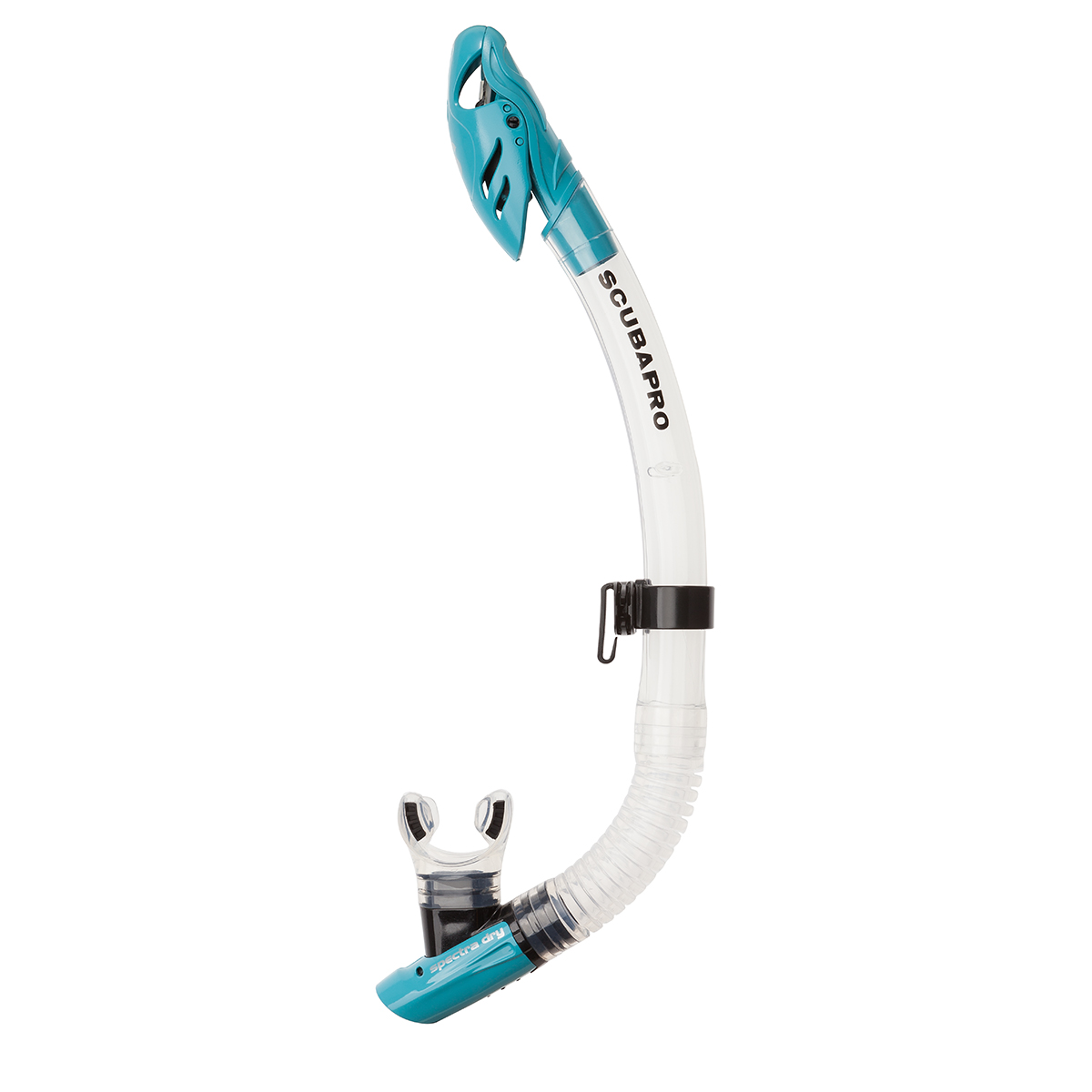 Snorkel